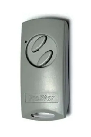 Vente Flash RSE2 Télécommande 2 canaux ECOSTAR