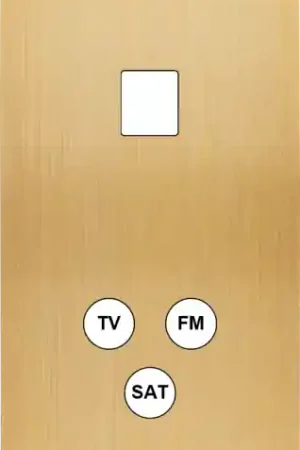 Acheter Direct Façade Confidence Laiton Brossé double verticale 1 MEDIA TV-FM-SAT sans vis (289-410M)