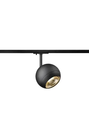 Acheter Direct Light eye® 150, spot monophasé, rond, gu10, 1x max. 13 w, noir mat