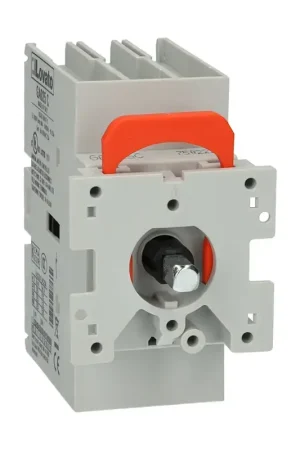 Meilleur Prix Interrupteur principal Lovato Electric GA025C
